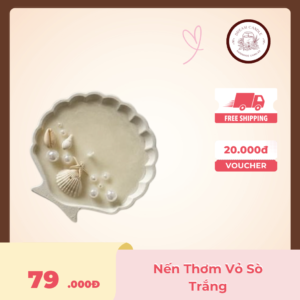 nến vỏ sò trắng