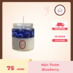nến thơm blueberry