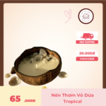 nến thơm vỏ dừa tropical