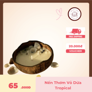 nến thơm vỏ dừa tropical